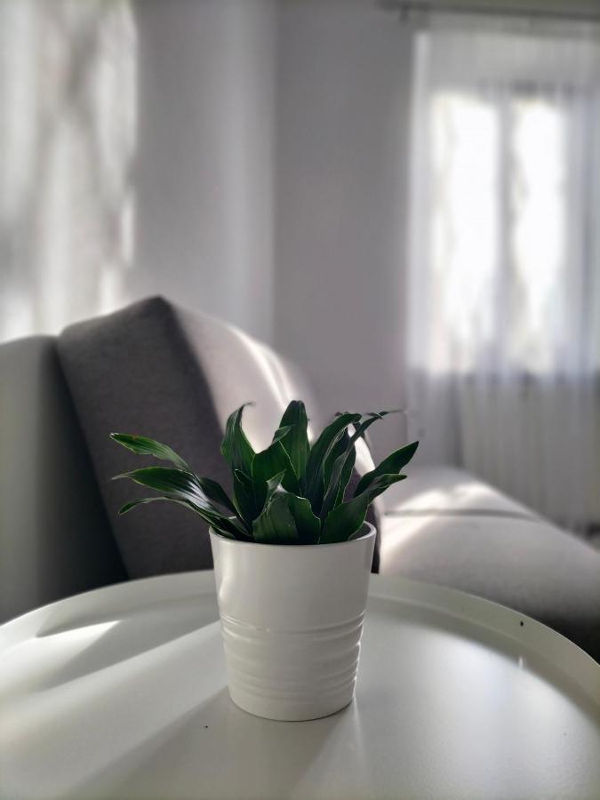 Apartament Casa Mina Omegna Zewnętrze zdjęcie
